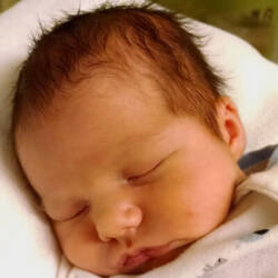 Joshua Lee